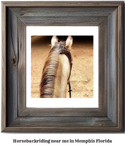 horseback riding near me in Memphis, Florida